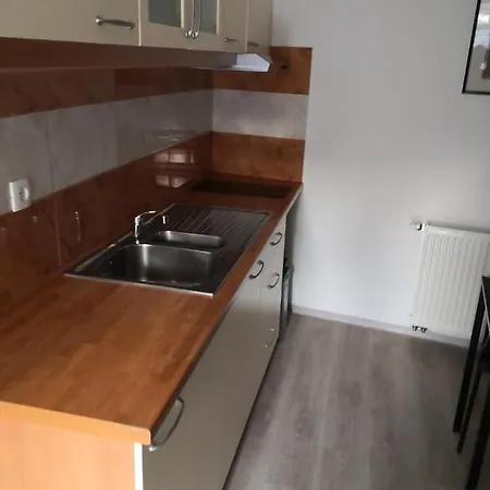 Pensión Apartma Alja Podkoren 3*